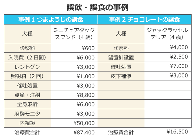 犬の誤飲 誤食を防ぐために 安全に応急処置できる対処法一覧付き アクサダイレクト