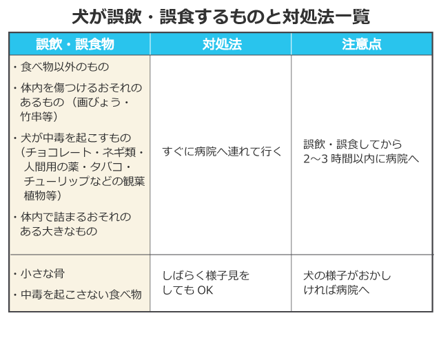 犬の誤飲 誤食を防ぐために 安全に応急処置できる対処法一覧付き アクサダイレクト