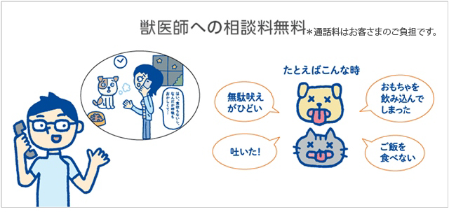 24時間365日、獣医師に無料で電話相談ができるペット健康相談サービス