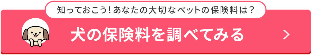 飼い犬が人を噛んだときの対処法 治療費や賠償金はどうなる アクサダイレクト