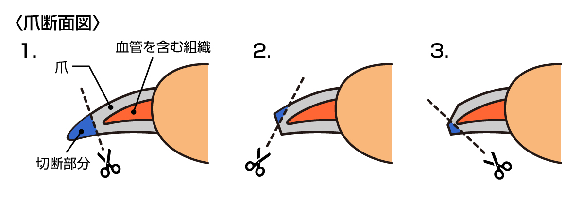 角を取るように、少しずつ切るのがコツです。