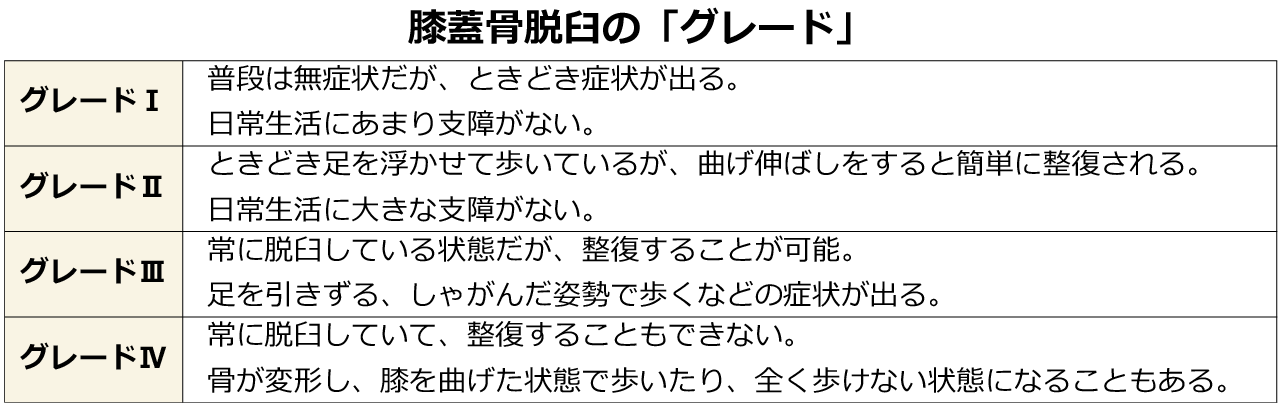 小型犬は要注意 膝蓋骨脱臼 の症状 治療費 予防方法 アクサダイレクト