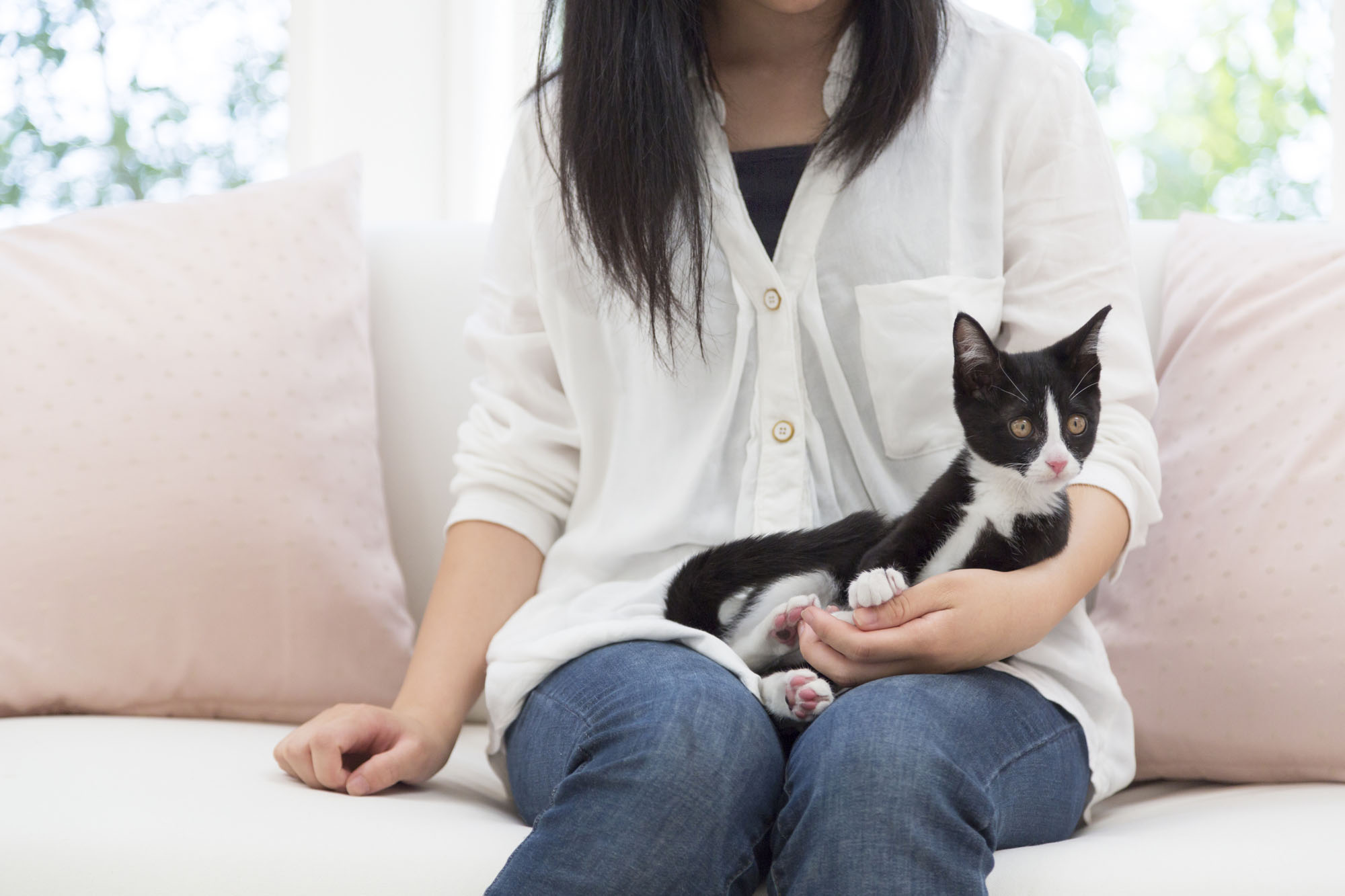 完全に室内飼育している方が、寿命が長い傾向にあります。