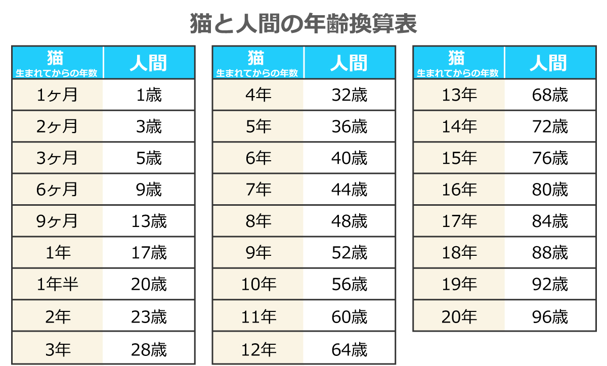 ぬこ 年齢 し