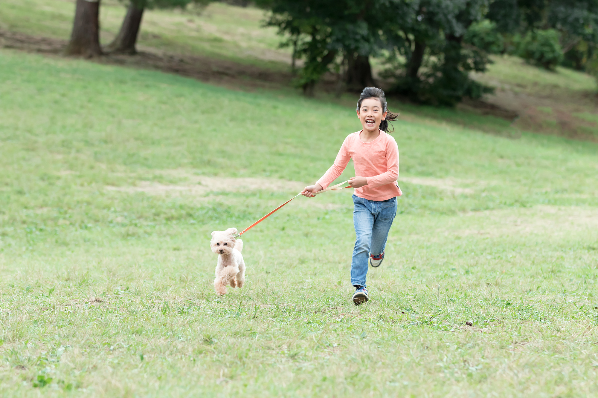 家族みんなで愛犬の健康を守っていきましょう。