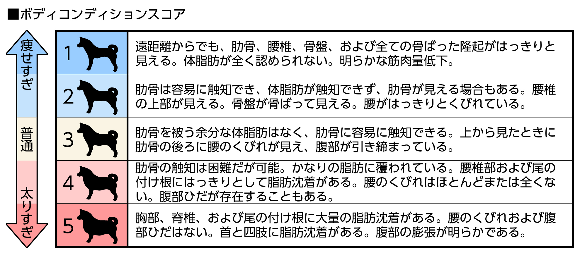 ボディコンディションスコア