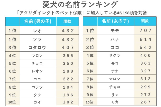 犬の名前 最新ランキング 名前のつけ方のコツもご紹介 アクサダイレクト