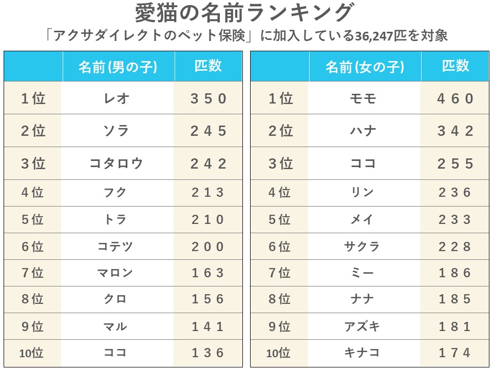 名前 猫 ランキング の 令和最新版!「猫の名前ランキング2021」と「人気猫種ランキング2021」を一挙紹介！│ペット保険のご契約は【アニコム損保】