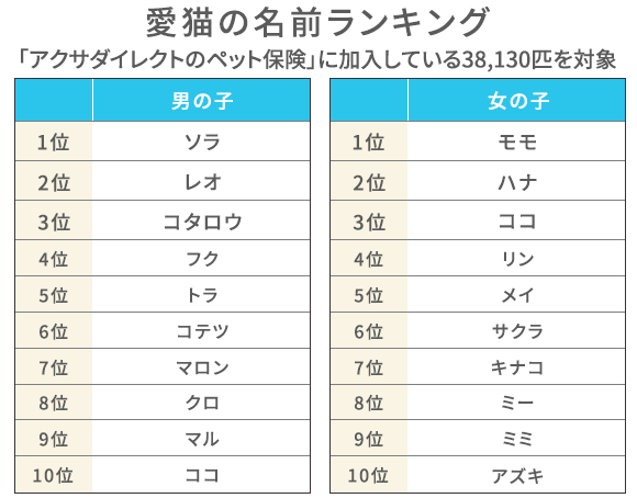 21年最新 猫の名前ランキング発表 名付けのポイントも解説 アクサダイレクト