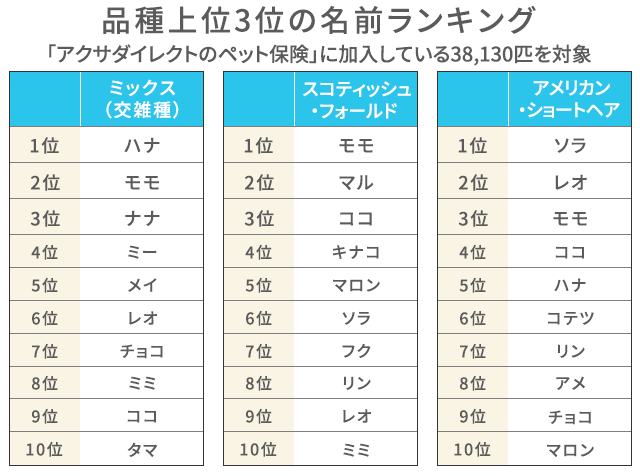 21年最新 猫の名前ランキング発表 名付けのポイントも解説 アクサダイレクト