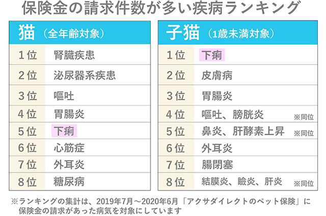 獣医師監修】猫が下痢でつらそう 下痢を起こす原因や対処法を解説 