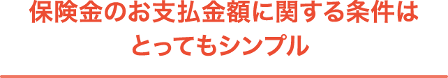 保険金のお支払金額に関する条件はとってもシンプル