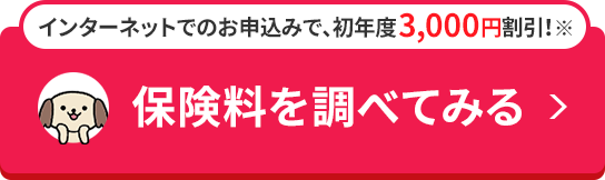 �C���^�[�l�b�g�ł̂��\���݂ŁA���N�x3,000�~����!�� �ی����𒲂ׂĂ݂�