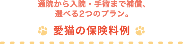 �ʉ@������@�E��p�܂ŁA���L���⏞���O�b�h�v���C�X�� �L�̕ی�����