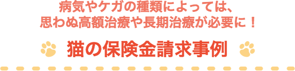 �a�C��P�K�̎�ނɂ���ẮA�v��ʍ��z���ÂⒷ�����Â��K�v�ɁI �L�̕ی�����������