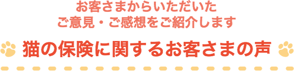 ���q���܂��炢�����������ӌ��E�����z�����Љ�܂� �L�̕ی��Ɋւ��邨�q���܂̐�