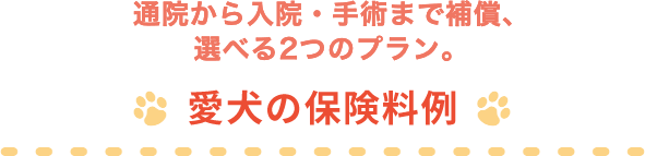 �ʉ@������@�E��p�܂ŁA���L���⏞���O�b�h�v���C�X�� ���̕ی�����