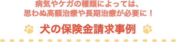 �a�C��P�K�̎�ނɂ���ẮA�v��ʍ��z���ÂⒷ�����Â��K�v�ɁI ���̕ی�����������