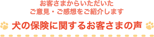 ���q���܂��炢�����������ӌ��E�����z�����Љ�܂� ���̕ی��Ɋւ��邨�q���܂̐�