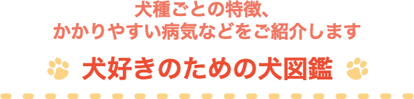 ���킲�Ƃ̓����A������₷���a�C�Ȃǂ����Љ�܂� ���D���̂��߂̌��}��