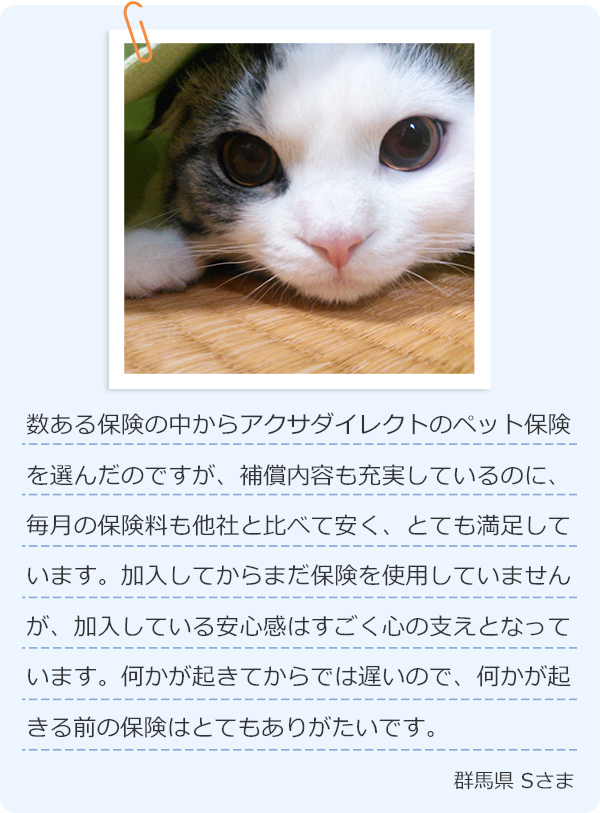 数ある保険の中からアクサダイレクトのペット保険を選んだのですが、補償内容も充実しているのに、毎月の保険料も他社と比べて安く、とても満足しています。加入してからまだ保険を使用していませんが、加入している安心感はすごく心の支えとなっています。何かが起きてからでは遅いので、何かが起きる前の保険はとてもありがたいです。 群馬県 Sさま