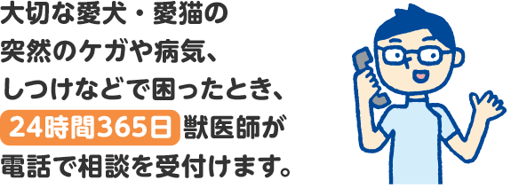 24時間ペット健康相談サービス（無料電話相談）｜アクサダイレクトのペット保険