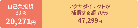 ���ȕ��S�z 30% 20,271�~ �A�N�T�_�C���N�g���⏞����z 70% 47,299�~