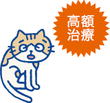 高額治療