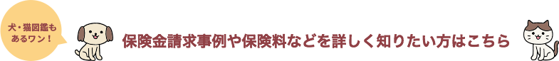 ییȂǂڂm肽͂