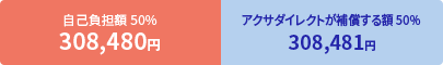 ���ȕ��S�z 50% 308,480�~ �A�N�T�_�C���N�g���⏞����z 50% 308,481�~