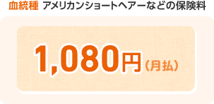 血統種 アメリカンショートヘアなど保険料 1,080円(月払)