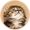 ミックス
