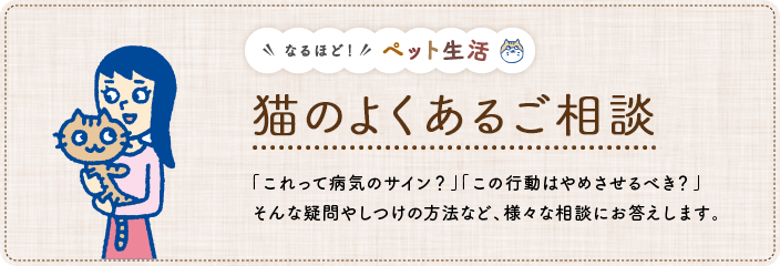 猫のよくあるご相談