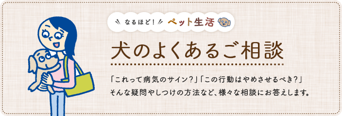 犬のよくあるご相談