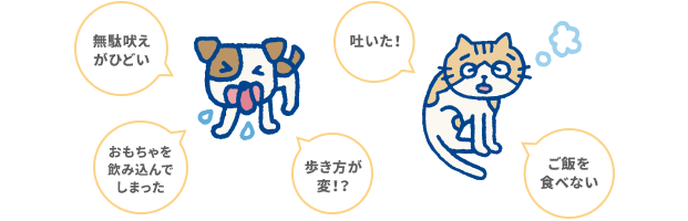 無駄吠えがひどい 吐いた! おもちゃを飲み込んでしまった 歩き方が変!? ご飯を食べない